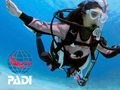 PADI JAPAN